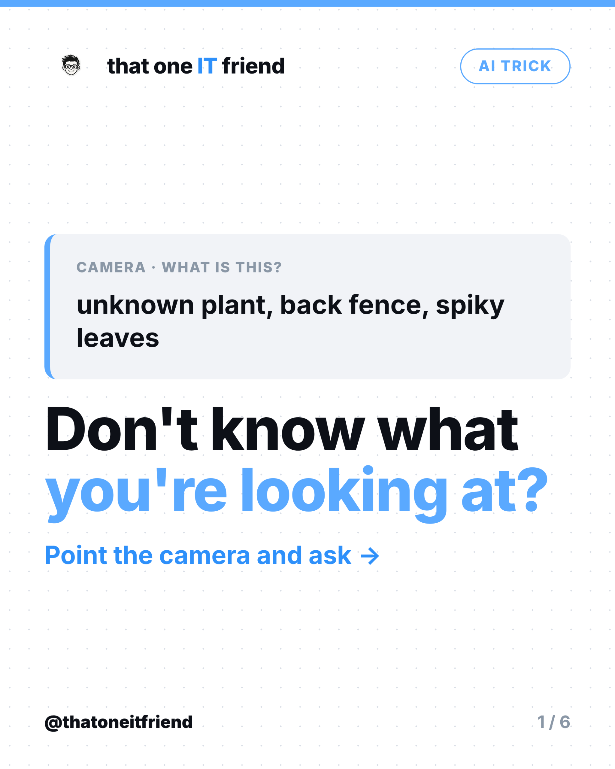 Point Your Phone Camera at It and Ask AI What It Is - slide 1